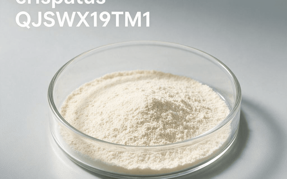 Lactobacillus crispatus QJSWX19TM1
