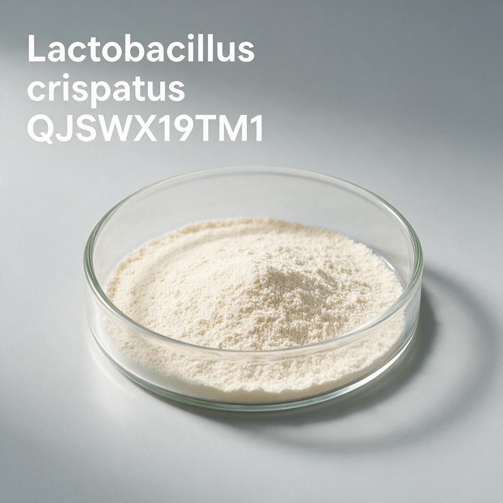 Lactobacillus crispatus QJSWX19TM1